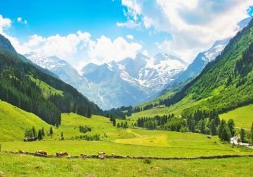 jim corbett, ranikhet, kausani, nainital, delhi