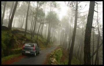 Coorg, Wayanad, Ooty