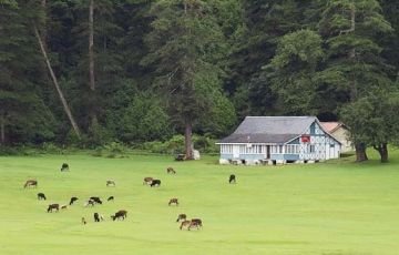 Shimla, Manali, Kullu, Dalhousie